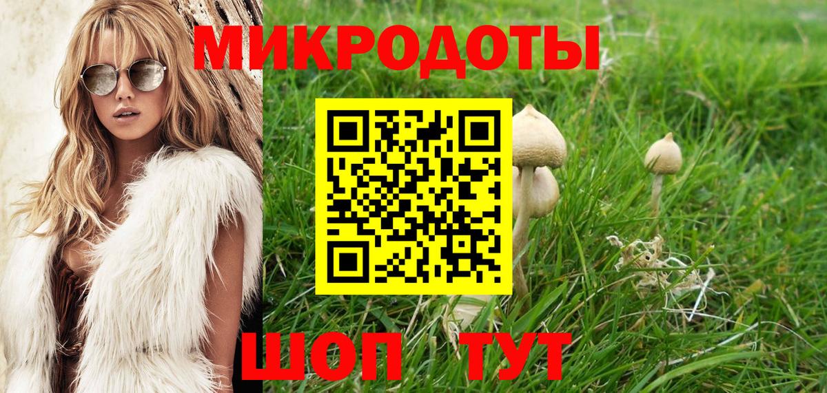 Галлюциногенные грибы мухоморы Белгород